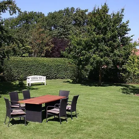 Kuestseeschwalbe Westermarkelsdorf